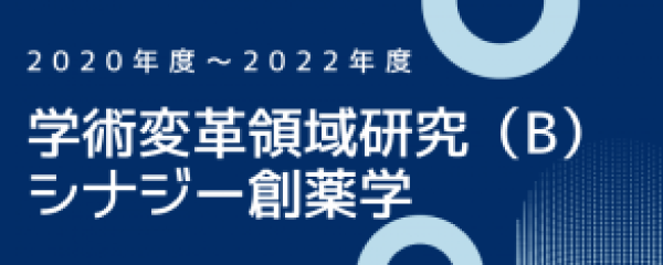 学術変革領域研究（B）シナジー創薬学